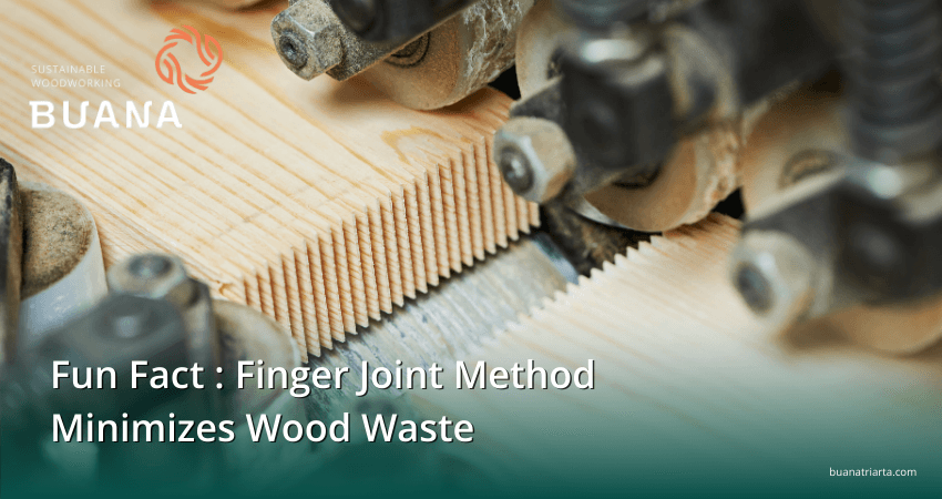 Fun Fact : Finger Joint