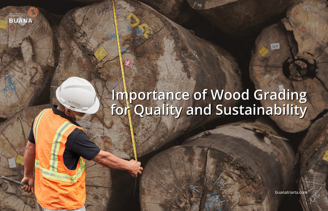 Importance of Wood Grading for Quality and Sustainability