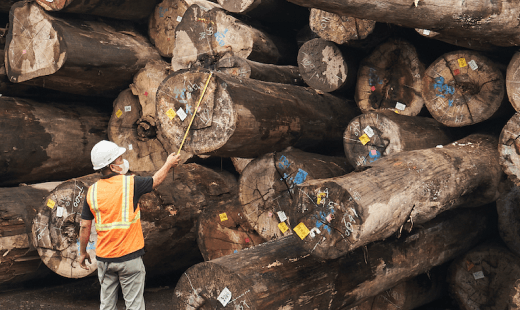 Raw Materials