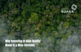 Why Investing in High-Quality Wood is a Wise Decision