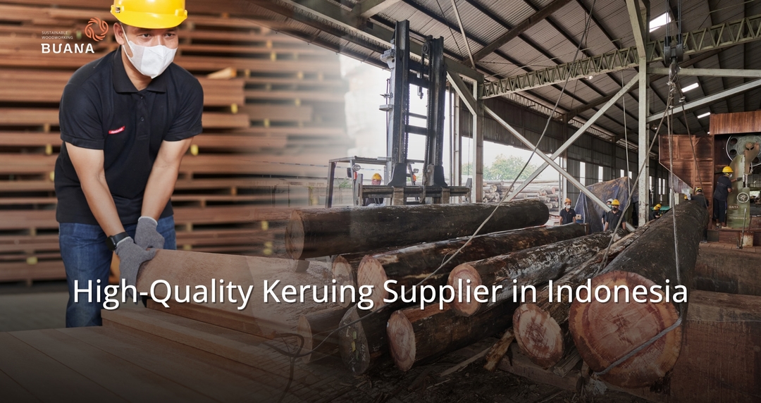High-Quality Apitong/Keruing Supplier in Indonesia