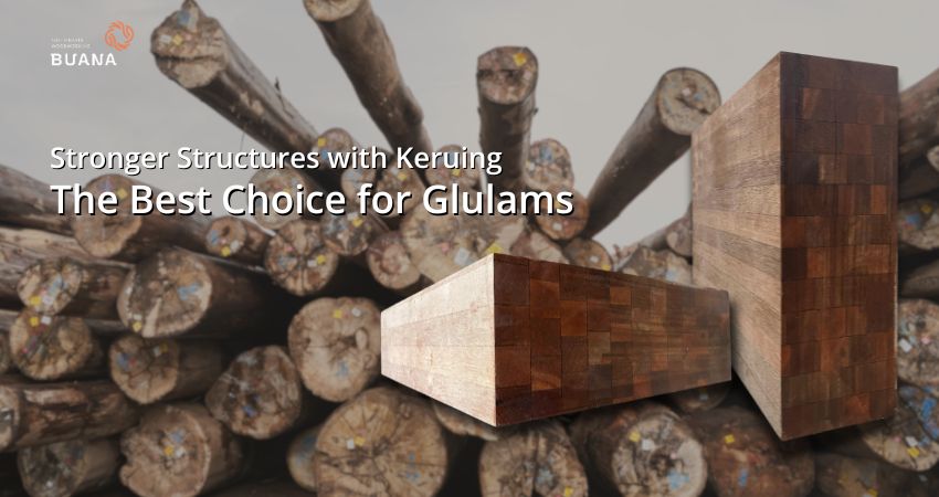 Stronger Structures with Keruing: The Best Choice for Industrial Glulams