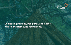 Comparing Keruing, Bengkirai, and Kapor: Which one best suits your needs?