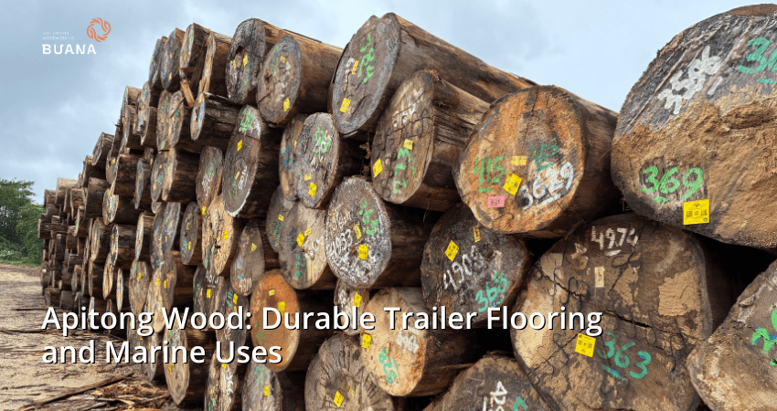 Apitong Wood: Durable Trailer Flooring and Marine Uses